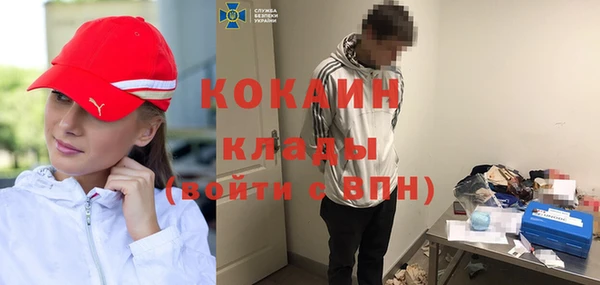 ГАЛЛЮЦИНОГЕННЫЕ ГРИБЫ Заводоуковск