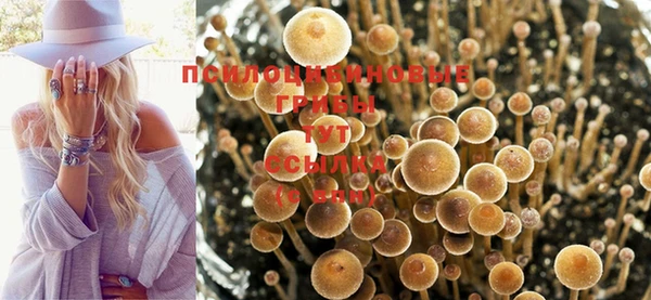 твердый Заволжск