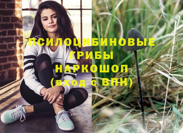 твердый Заволжск