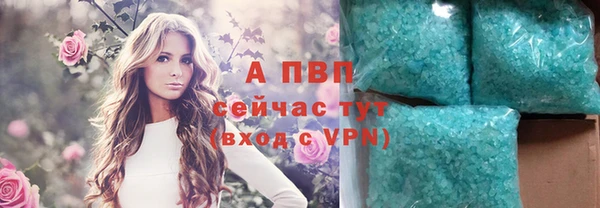 крисы Болохово