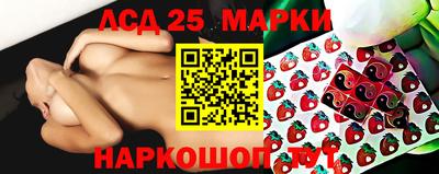 spice Камышлов