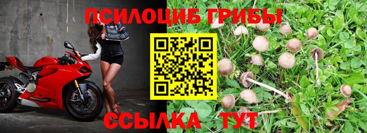 как найти   Галлюциногенные грибы мухоморы  Вход с VPN  Кингисепп 