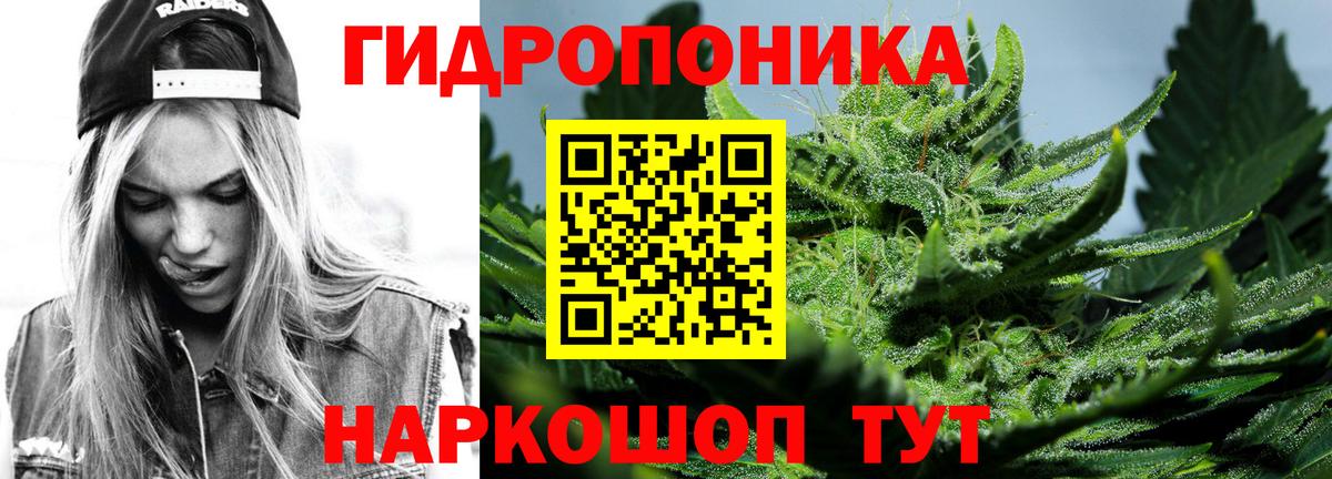 Шишки марихуана THC 21% Кингисепп